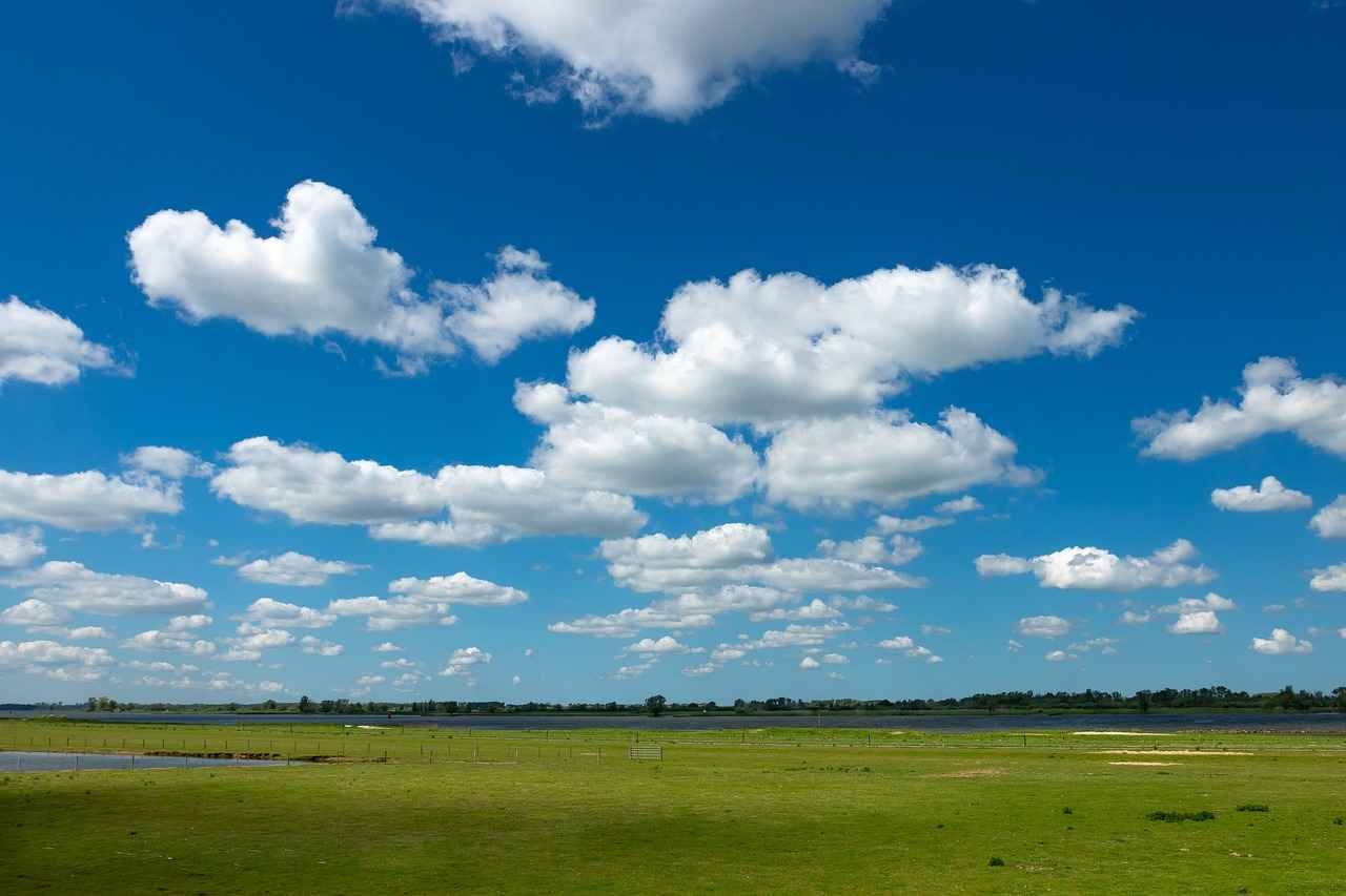 Conclusion: Why It Matters