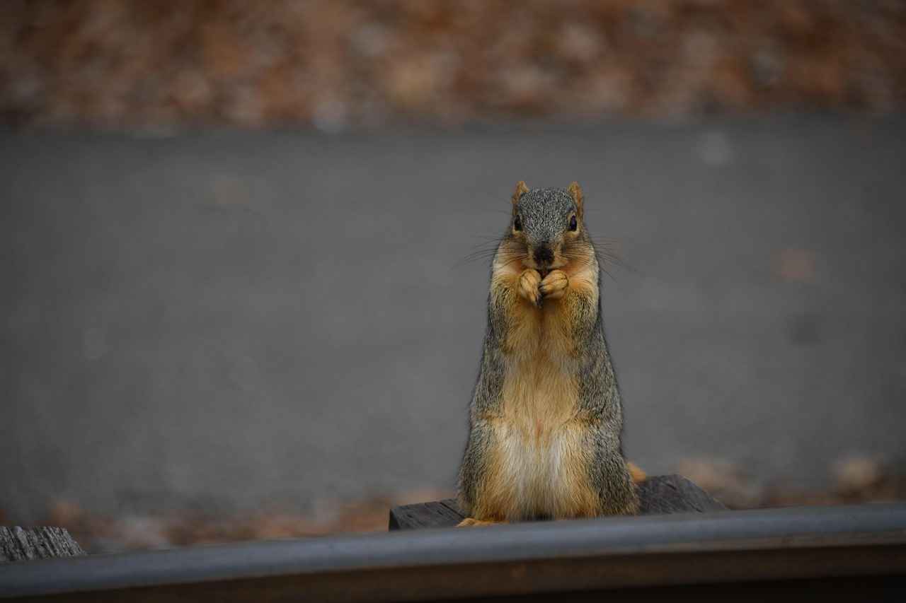 How to Protect Yourself