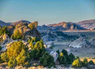 469 Area Code Guide: Everything Behind That Number 469 Area Code Guide: Everything Behind That Number