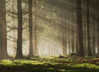 503 Area Code Warning: What Oregon Callers Aren’t Telling 503 Area Code Warning: What Oregon Callers Aren’t Telling