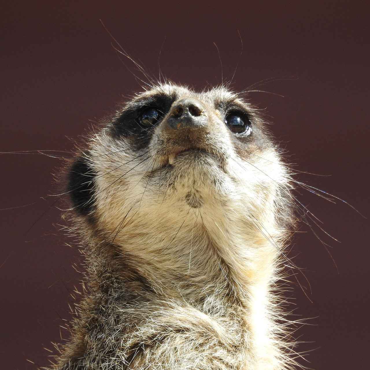 What to Do If You’ve Been Scammed