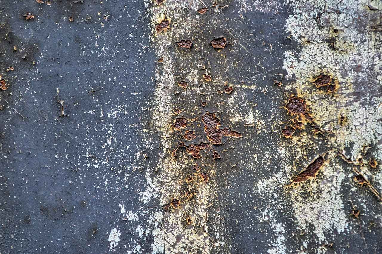 Why Area Codes Matter