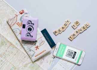 619 Area Code Guide: Who’s Behind These Numbers? 619 Area Code Guide: Who’s Behind These Numbers?