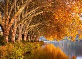 716 Area Code Details: Real Caller Or Clever Scam? 716 Area Code Details: Real Caller Or Clever Scam?