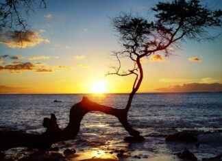 808 Area Code Warning: Hawaiian Call Or Scam Alert? 808 Area Code Warning: Hawaiian Call Or Scam Alert?