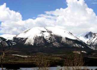 Body of missing person discovered near Frisco, Texas body-of-missing-person-discovered-near-frisco-texas