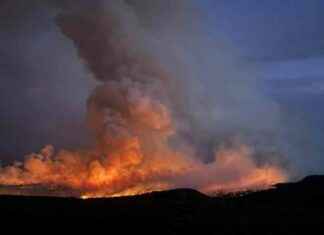 Man Pleads Guilty for Causing Bucktail Fire in Montrose County man-pleads-guilty-for-causing-bucktail-fire-in-montrose-county