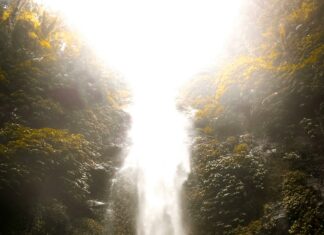 Shari Ann Chinnis Indianapolis: Discover Her Inspiring Journey Today