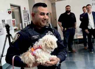 Rescued Maltese Dog from East River Finds Forever Home with NYPD Officer rescued-maltese-dog-from-east-river-finds-forever-home-with-nypd-officer