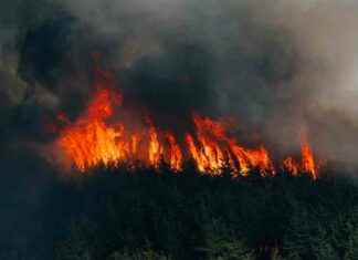 Second Teen Charged in New Jersey Wildfire Incident second-teen-charged-in-new-jersey-wildfire-ncident