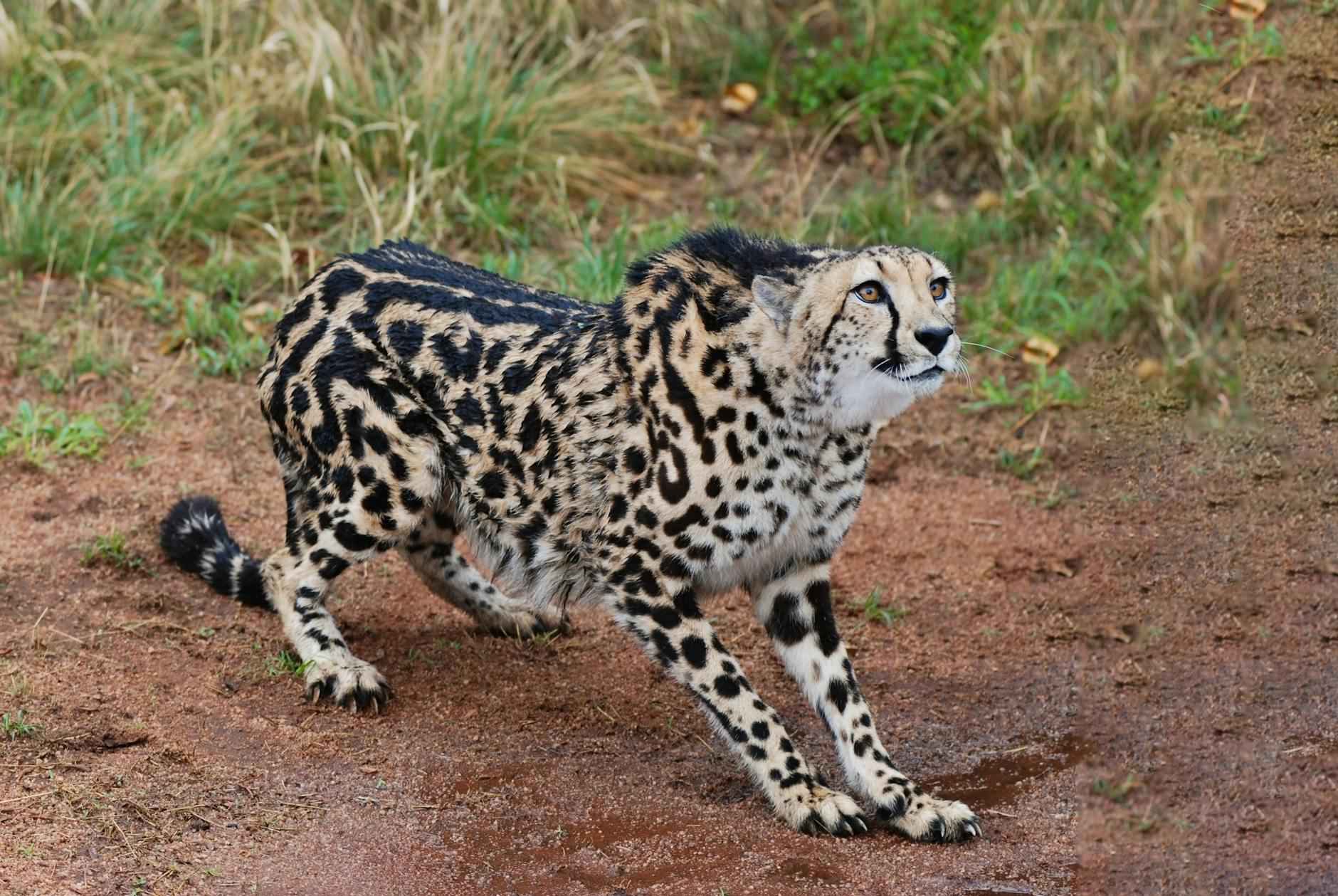 Collaborations on the Horizon?