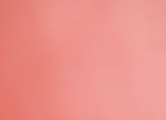 Samdra Orlow Secrets Revealed: How She Transformed Her Success