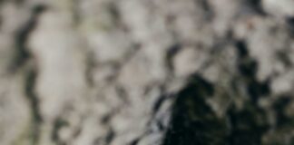 Jank Botejo Secrets Revealed: How To Unlock Hidden Potential Today