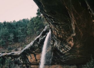 Hydra.HD: Unlock Powerful Features for Ultimate Streaming Experience