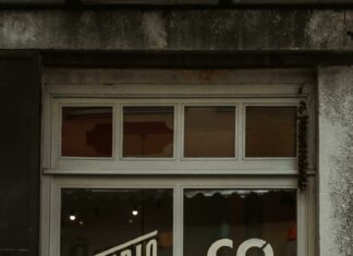 Nebunexa Co Secrets: How It Transforms Your Business Dynamically