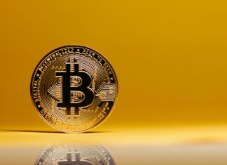 Life2Vec Coin: Discover The Future Of Crypto Innovation Today