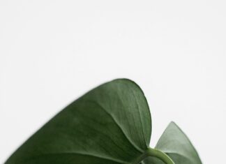 Better This World: How To Transform Your Life With Simple Habits