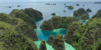 Rob Love Island Leaked Secrets: Shocking Truths You Must Know