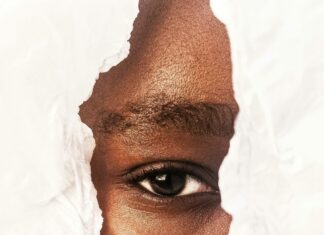 WhatUtalkingboutWillis.com Secrets Revealed: Must-Know Facts!