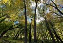 TheHomeTrotters Travel Tips: Discover Secrets To Explore Like A Pro New Jersey News