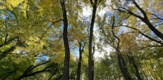 TheHomeTrotters Travel Tips: Discover Secrets To Explore Like A Pro