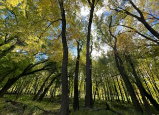 TheHomeTrotters Travel Tips: Discover Secrets To Explore Like A Pro