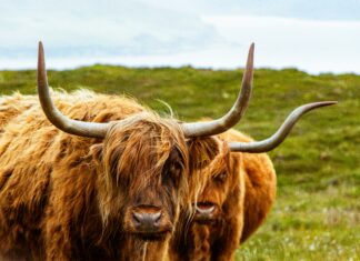 ThriftyEvents.Net Secrets: How To Save Big On Amazing Celebrations