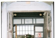 WhatUtalkingboutWillis Com: Discover The Secrets Behind Its Buzz New Jersey News