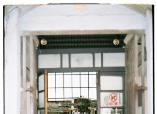 WhatUtalkingboutWillis Com: Discover The Secrets Behind Its Buzz