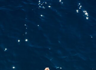 Skillsclone.com: Discover Powerful Techniques To Boost Your Success