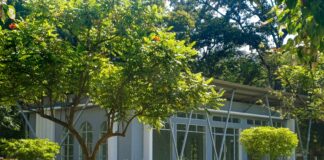 Kristin Archives: Discover Hidden Gems and Must-Read Stories Today