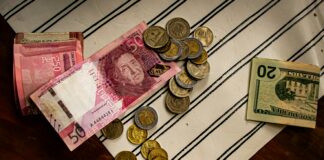 LessInvest.com Savings: How To Maximize Your Wealth With Ease