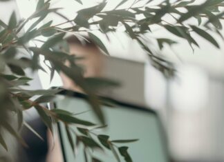 Mststorenet Secrets Revealed: How To Maximize Your Online Success