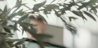 WhatUtalkingbout Willis .Com: Unlock Secrets To Ultimate Online Success