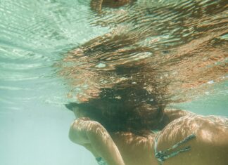 About Us OntPressCom: Discover The Secrets Behind Our Success