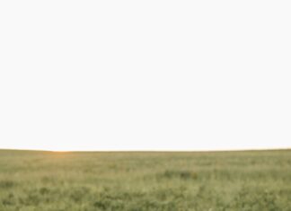 Norstratiamrestaurant Com Secrets: Why Food Lovers Can’t Resist