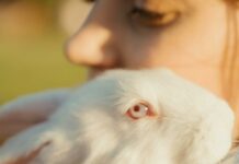 Alice Marrow Secrets: Unlock Amazing Benefits You Need to Know New Jersey News