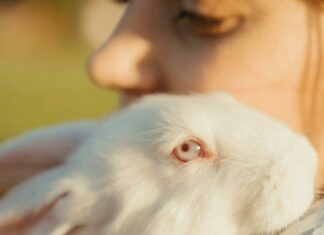 Alice Marrow Secrets: Unlock Amazing Benefits You Need to Know