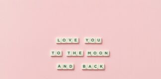 Koalageddonv1 Uncovered: Shocking Secrets You Need to Know New Jersey News