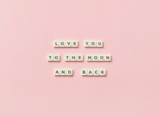 Koalageddonv1 Uncovered: Shocking Secrets You Need to Know