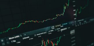 Coyyn.com Economy Insights: Unlock Powerful Growth Secrets Today