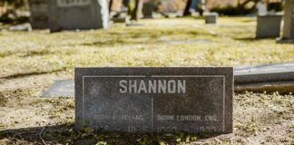 Shannon Swanick TPO Secrets Revealed: Unlock Success Today New Jersey News