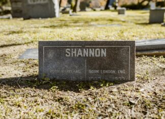 Shannon Swanick TPO Secrets Revealed: Unlock Success Today