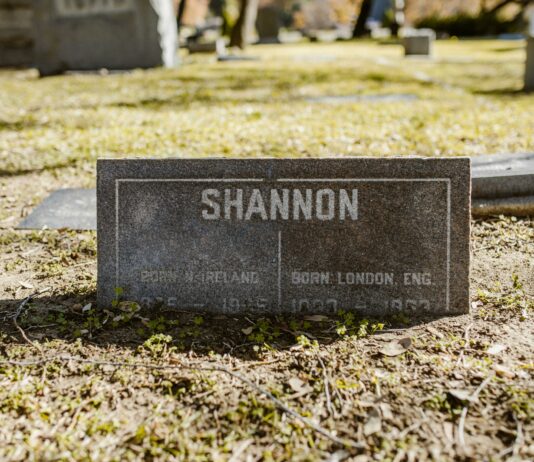 Shannon Swanick TPO Secrets Revealed: Unlock Success Today New Jersey News