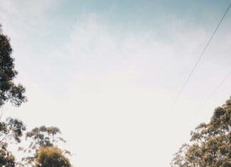 Vladislava Gagan: Discover The Secrets Behind Her Success