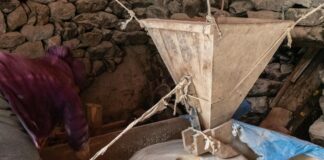 Ancient Grain In Cereal: Discover Why It’s Taking Over Breakfast