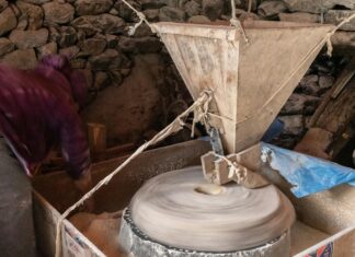 Ancient Grain In Cereal: Discover Why It’s Taking Over Breakfast