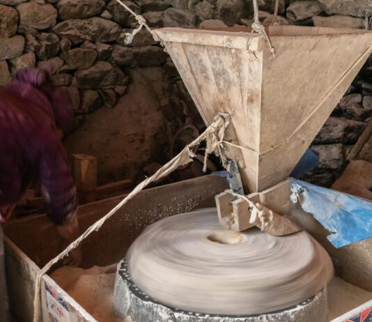 Ancient Grain In Cereal: Discover Why It’s Taking Over Breakfast Ancient Grain In Cereal: Discover Why It’s Taking Over Breakfast