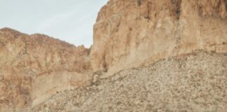 Arizona State Spring Break: Ultimate Guide To Unforgettable Fun