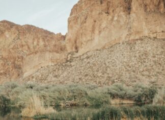 Arizona State Spring Break: Ultimate Guide To Unforgettable Fun